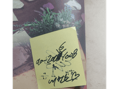 인필돌 김해진의 유일한 홈마 정세훈 썰 모음