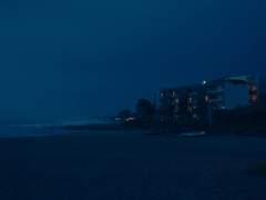 그들이 아픈 이유