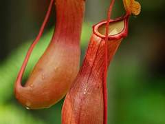 *크리처 약고어 주의* 난 분명 말했다