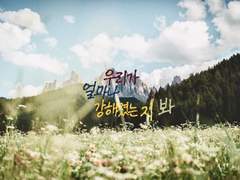 [글씨]보쿠토 코타로