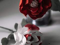 [고페에이] 살인마의 살인