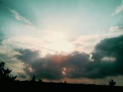 별이 되어버린 너에게,