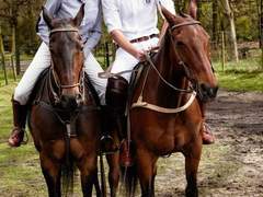 장교님과 아가씨