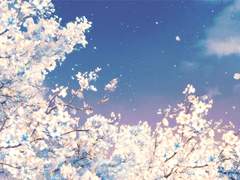 [익준송화] 피어나다, 흩어지다