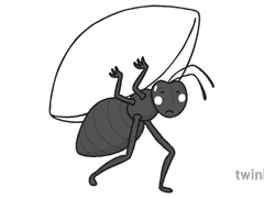 안녕하세요 괄라입니다