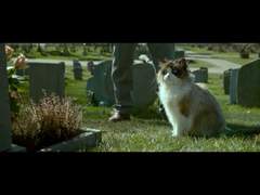 시청기록 (2018년 10월 7일)