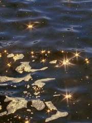 너에게 보내는 편지들