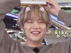 슙진 - 고양이랑 살고 있습니다