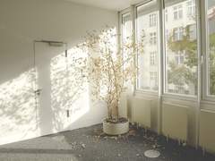 “네 이름, 그 세 글자 말하는 게 왜 그렇게 힘들었을까.”