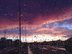 우리의 지극히 평범한 하루 1