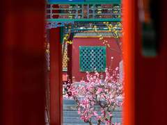 [룡백] 차원이동 고전물 3