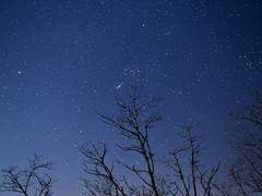 [오소쵸로] 도피