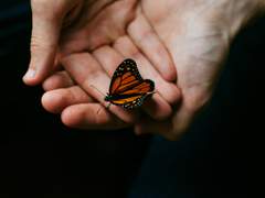 [레이디버그 전력] 부재