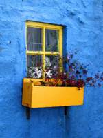 2차. 스텔라비스