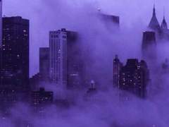 나비커 공개 프로필