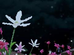 ∘◦ —————— ◦∘