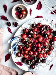 [스나, 오사무 장편 드림] Cherry Circulation