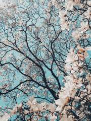 세준합작 : 8월의 크리스마스