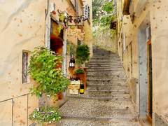 이종족의 화합 미래 희망 ~몬랑자편~