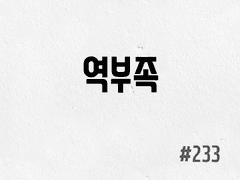[5부] #233 역부족