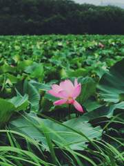 연근갈비탕이 너무해