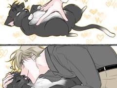 문질문질 유진냥