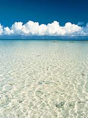 모화현 에세이 - 일상이 꽃*