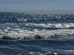 넘실거리는 파도 소리보다 더 선명한 당신의 목소리.