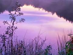 [전오수/컨티뉴얼] 꽃언덕의 시든 새 上