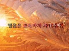 얼음은 고독마저 차가울까 - (1)