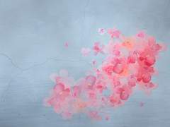 그 사람이 가진 예쁨