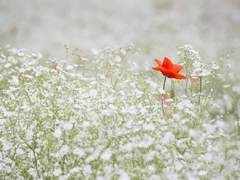 당신을 처음 만난 그 순간부터.