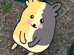 포켓몬 그림, 낙서6