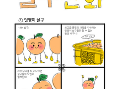살구만화 01