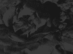 향의 매료; 꽃은 살아있다