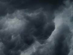 사랑스러운 나의 재앙에게.