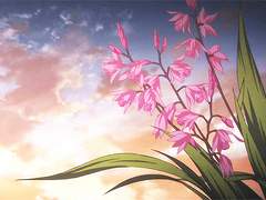 Good Night, Theodor.