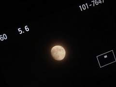 ℝ𝕖𝕤𝕥𝕒𝕣𝕥