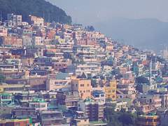 [룬육/훈육] 달과 6펜스 후기