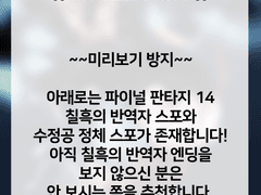 [FF14] 수정공과 파판자캐가 같이 내일의 밤하늘 초계반을 찍을 뿐