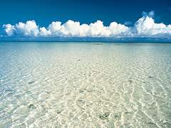 어쩐지 부자가 된 것 같은