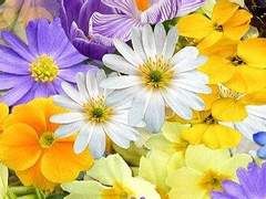 고집불통이면 어때서?