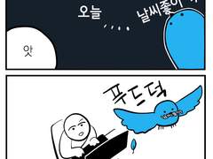 잡다 일상 만화