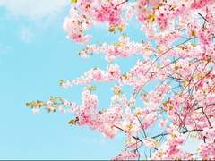 첫만남[이현기령/드림]