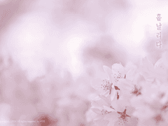 [리오쥰] 흩날리다