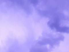 마카롱 몽실몽실.