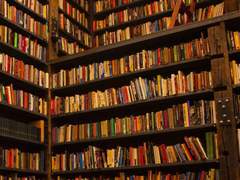 그 책장의 위에서 세 번째 줄, 맨 오른쪽 파란색 책