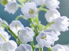 당신의 사랑이 내 마음에 머물러요.