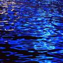 노란목도리담비