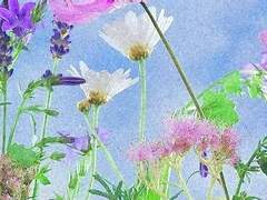 너는 그게 나라고 생각하는 거야?